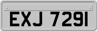 EXJ7291
