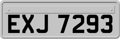 EXJ7293