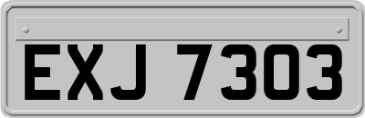 EXJ7303