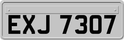 EXJ7307