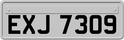 EXJ7309