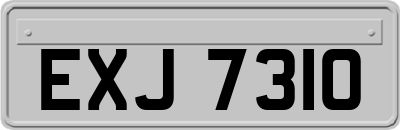 EXJ7310