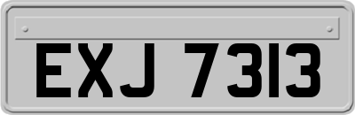 EXJ7313