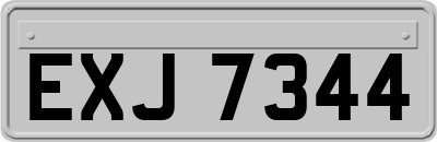 EXJ7344