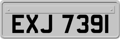 EXJ7391