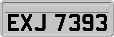 EXJ7393