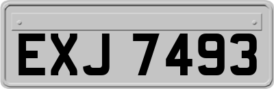 EXJ7493