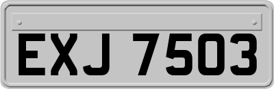 EXJ7503