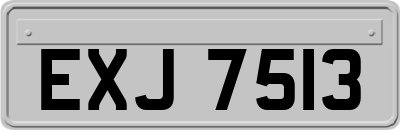 EXJ7513