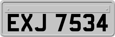 EXJ7534