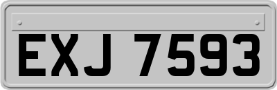 EXJ7593