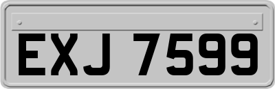 EXJ7599