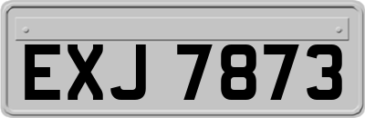 EXJ7873