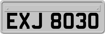EXJ8030