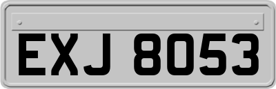 EXJ8053
