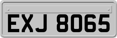 EXJ8065
