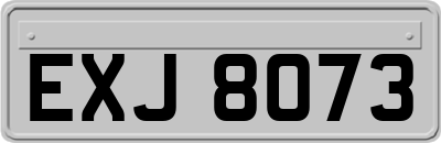 EXJ8073