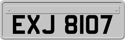 EXJ8107