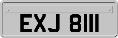 EXJ8111