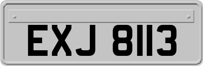 EXJ8113