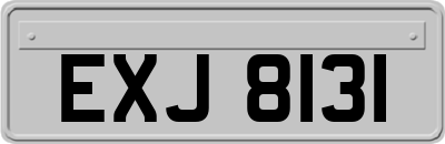 EXJ8131