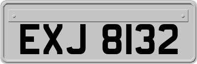 EXJ8132