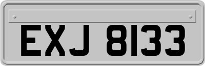 EXJ8133