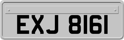 EXJ8161