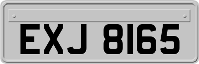 EXJ8165