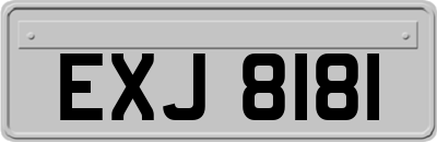 EXJ8181