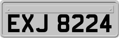 EXJ8224