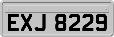 EXJ8229