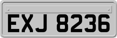 EXJ8236