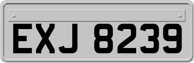 EXJ8239