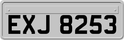 EXJ8253