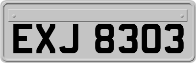 EXJ8303