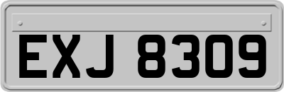 EXJ8309