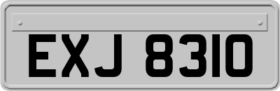 EXJ8310