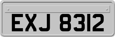 EXJ8312