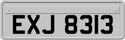 EXJ8313