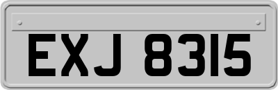 EXJ8315