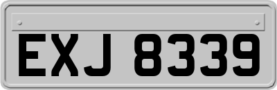 EXJ8339