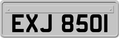 EXJ8501
