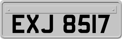 EXJ8517
