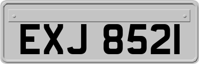 EXJ8521