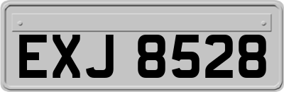 EXJ8528