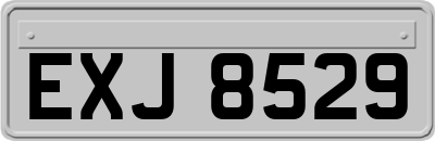 EXJ8529
