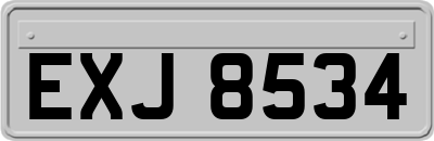 EXJ8534