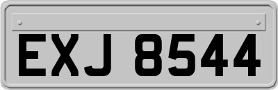 EXJ8544