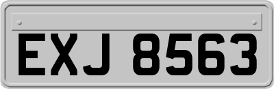 EXJ8563